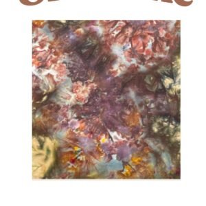 Ice Dye Kit Shiitake